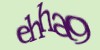 Tekshiruvchi kod